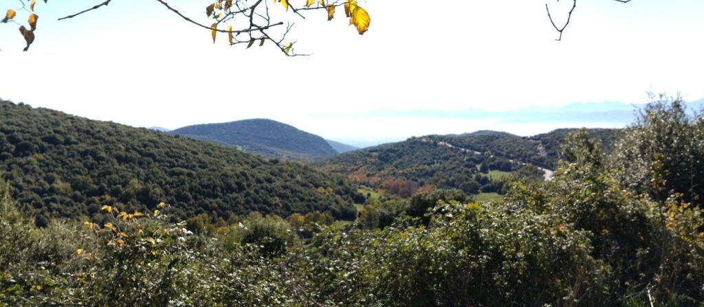 Unique View from the Village Liopraso Trikala